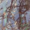 09 Lammikko 38x38cm.jpg